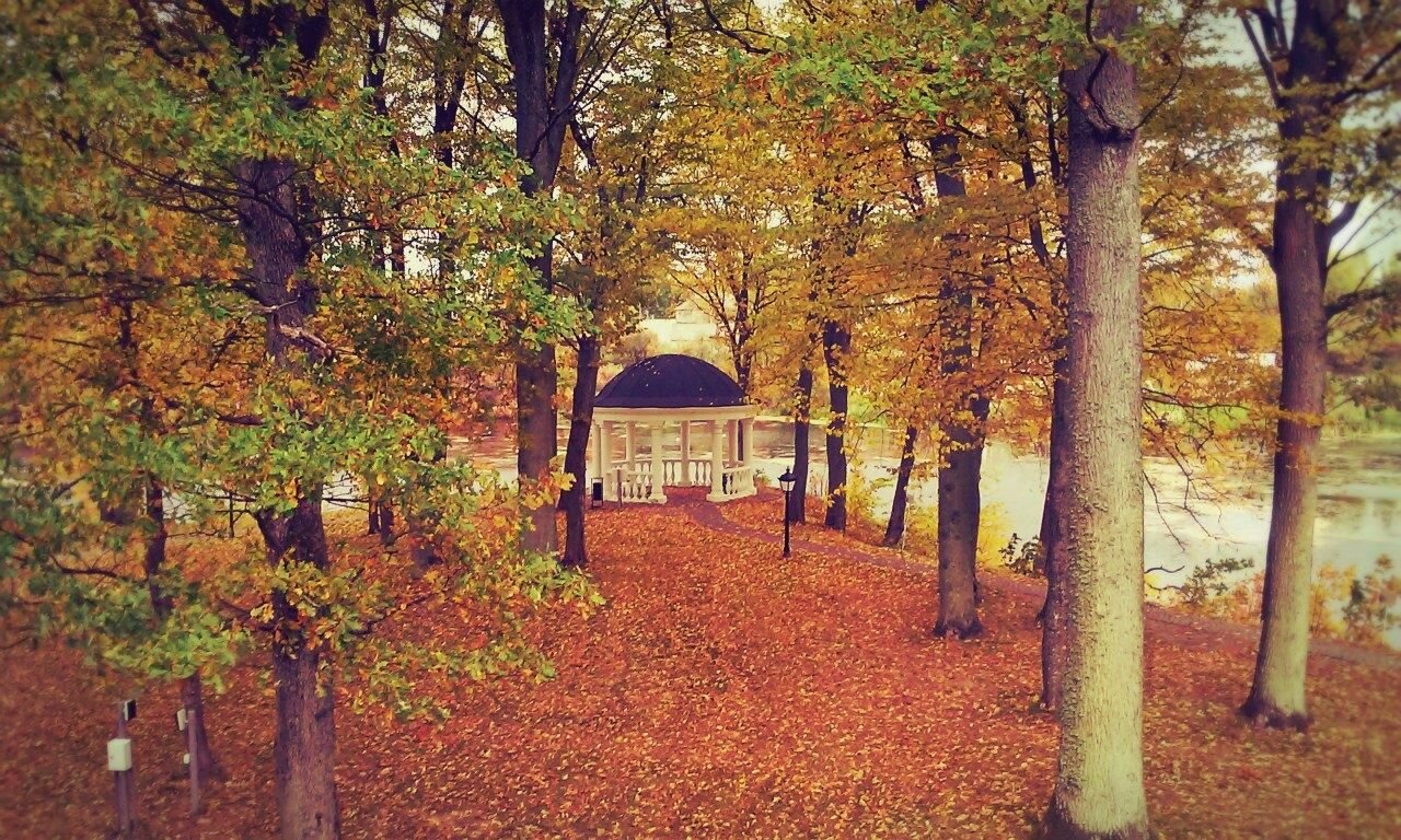 Гостиница Филипп Новоселово-33