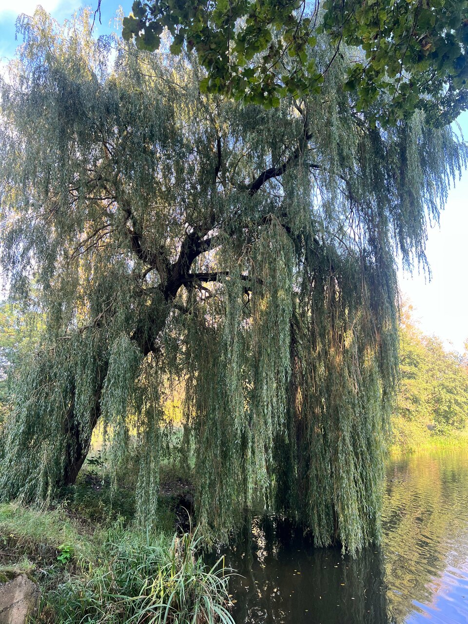 Гостиница Филипп Новоселово-141