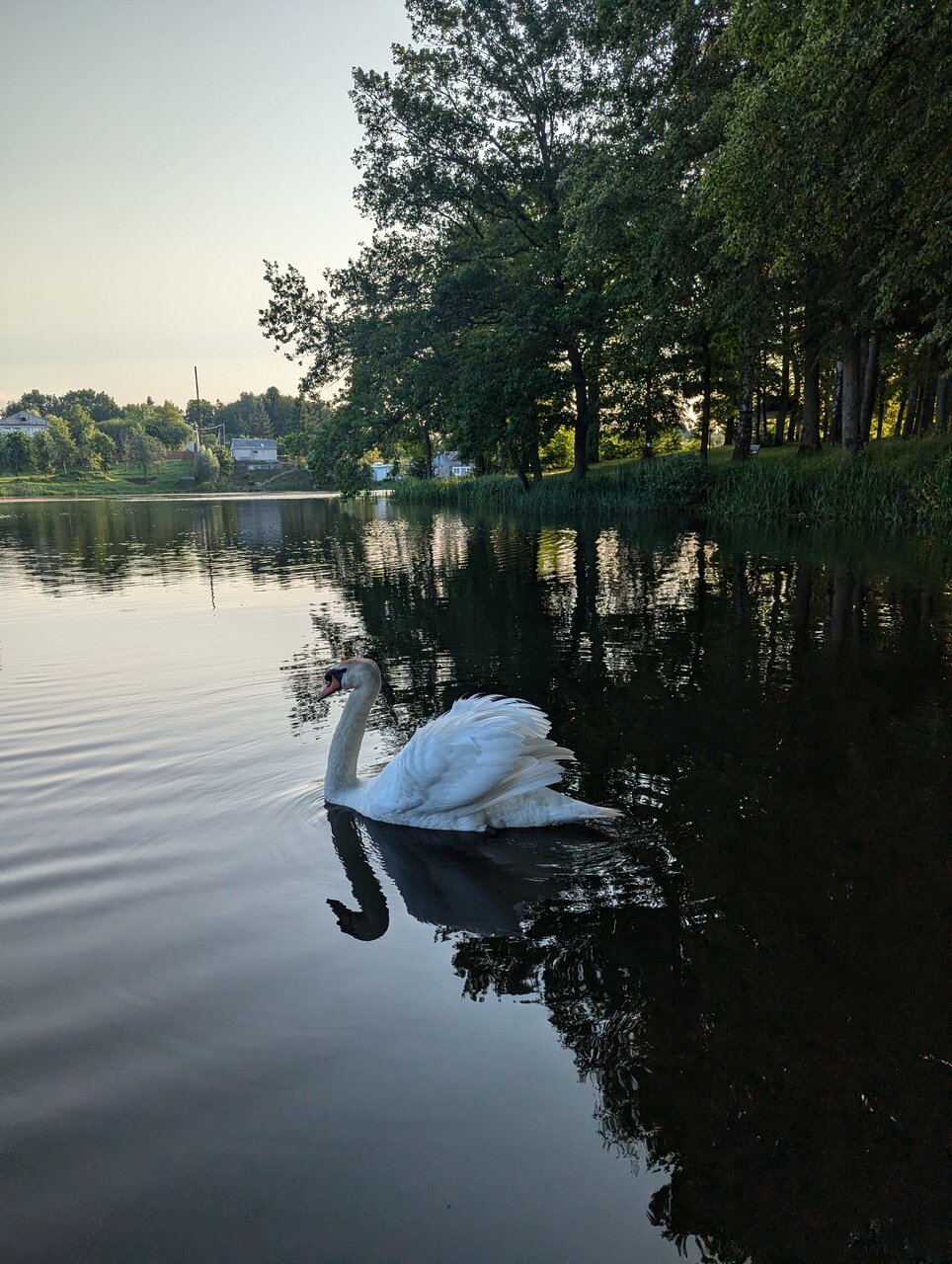 Гостиница Филипп Новоселово-155