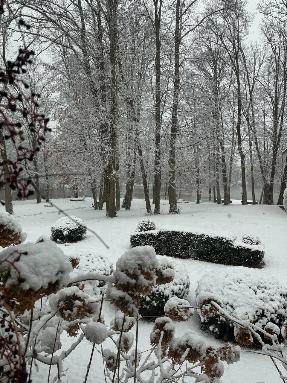 Гостиница Филипп Новоселово-201