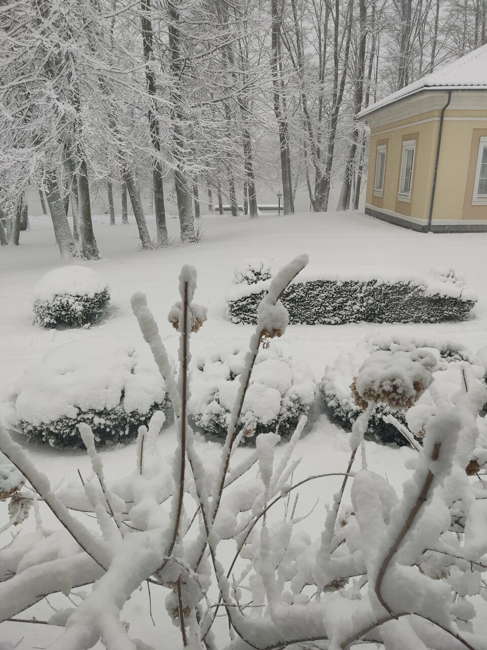 Гостиница Филипп Новоселово-160