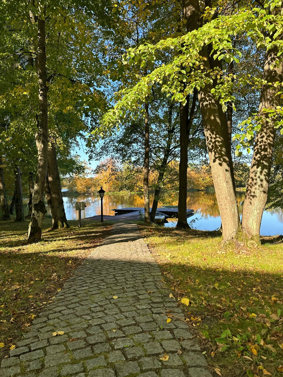 Гостиница Филипп Новоселово-222