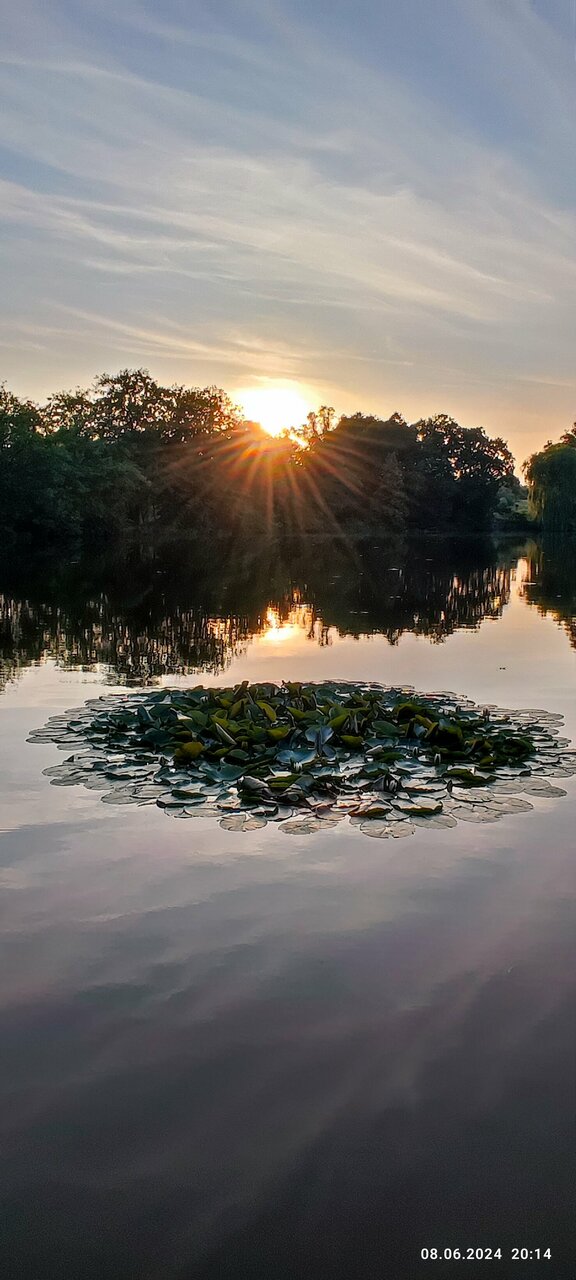 Гостиница Филипп Новоселово-178