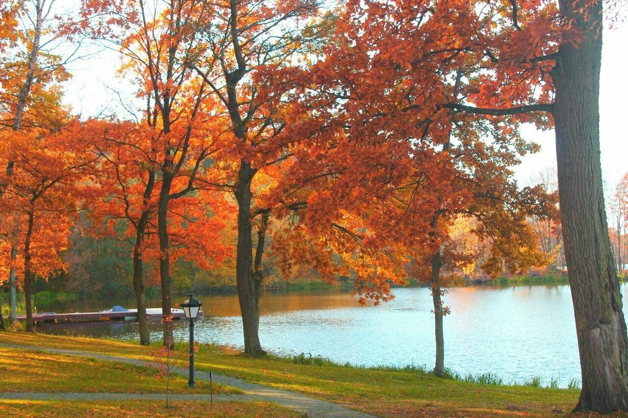 Гостиница Филипп Новоселово-34