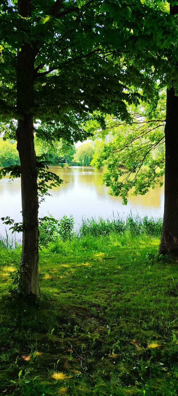 Гостиница Филипп Новоселово-245