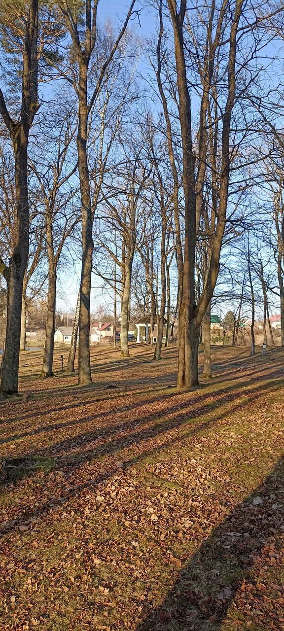 Гостиница Филипп Новоселово-239