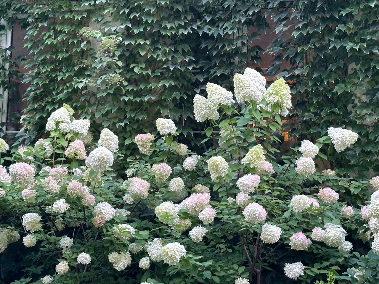 Гостиница Филипп Новоселово-135