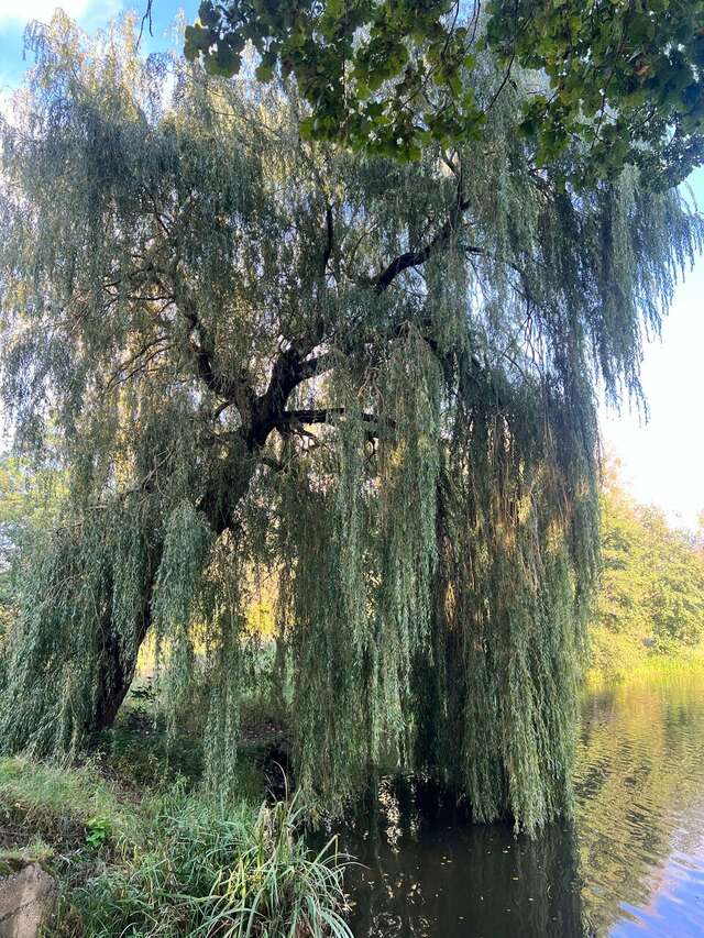 Гостиница Филипп Новоселово-140