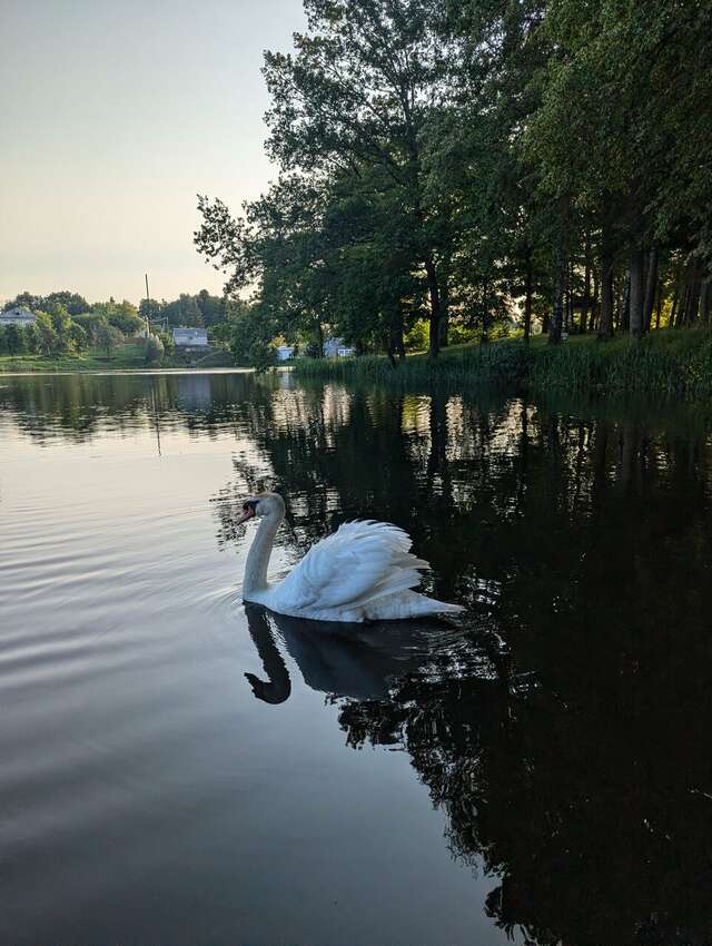 Гостиница Филипп Новоселово-154
