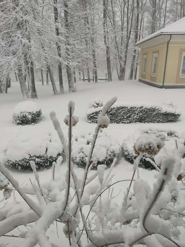 Гостиница Филипп Новоселово-159