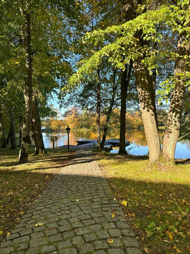 Гостиница Филипп Новоселово-221