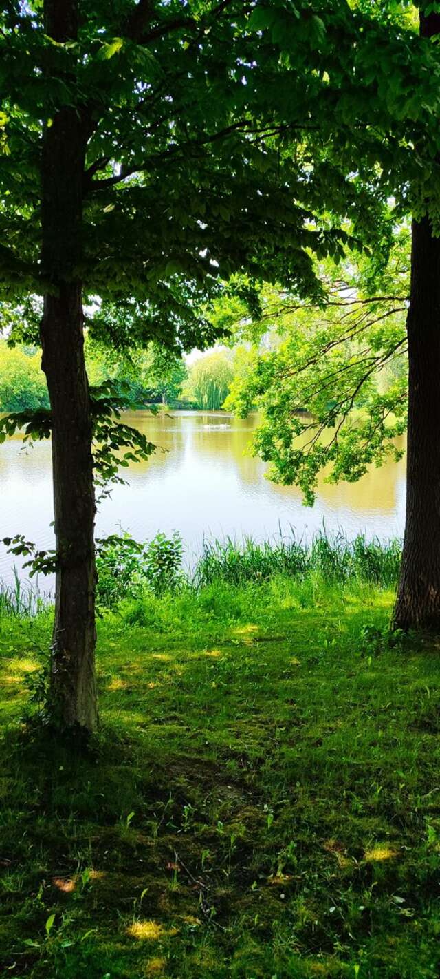 Гостиница Филипп Новоселово-244