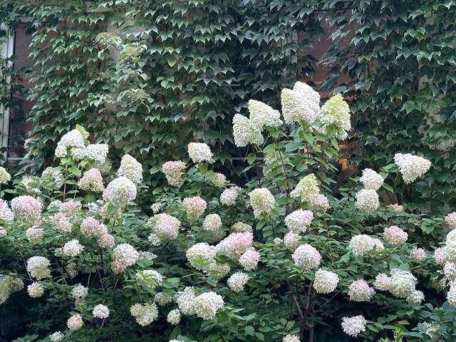 Гостиница Филипп Новоселово-134